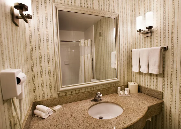 Hotel Hilton Garden Oakbrook Terrace